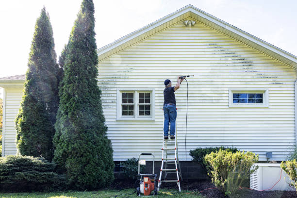 Best Patio and Deck Pressure Washing  in USA